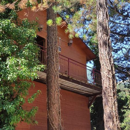 Hotel Toni Llogora Dukat Exterior foto