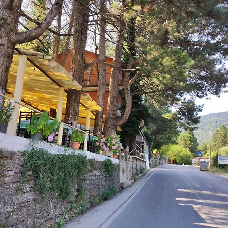 Hotel Toni Llogora Dukat Exterior foto